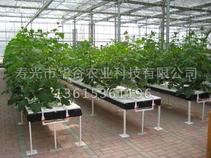 復(fù)合果菜栽培 (2).jpg
